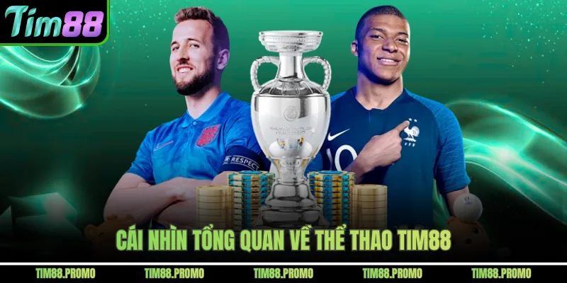 Cái nhìn tổng quan về thể thao Tim88