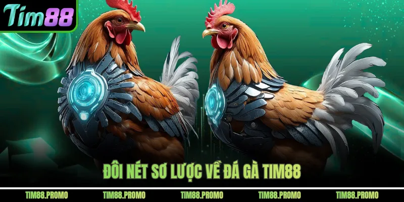 Đôi nét sơ lược về đá gà Tim88