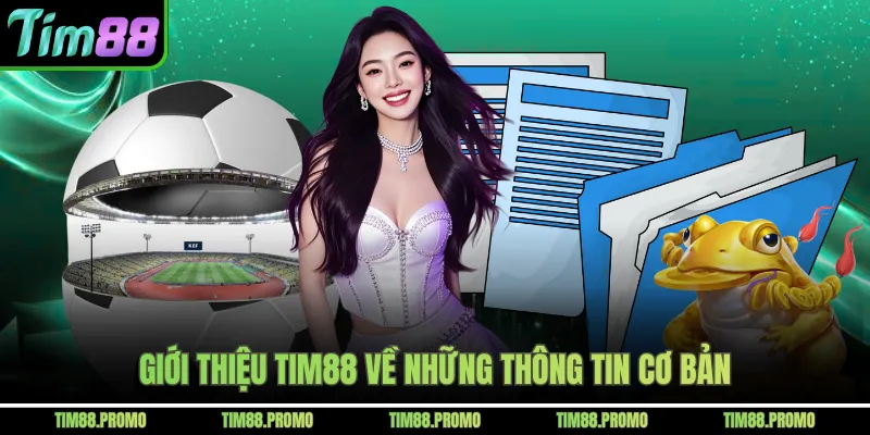 Giới thiệu Tim88 về những thông tin cơ bản